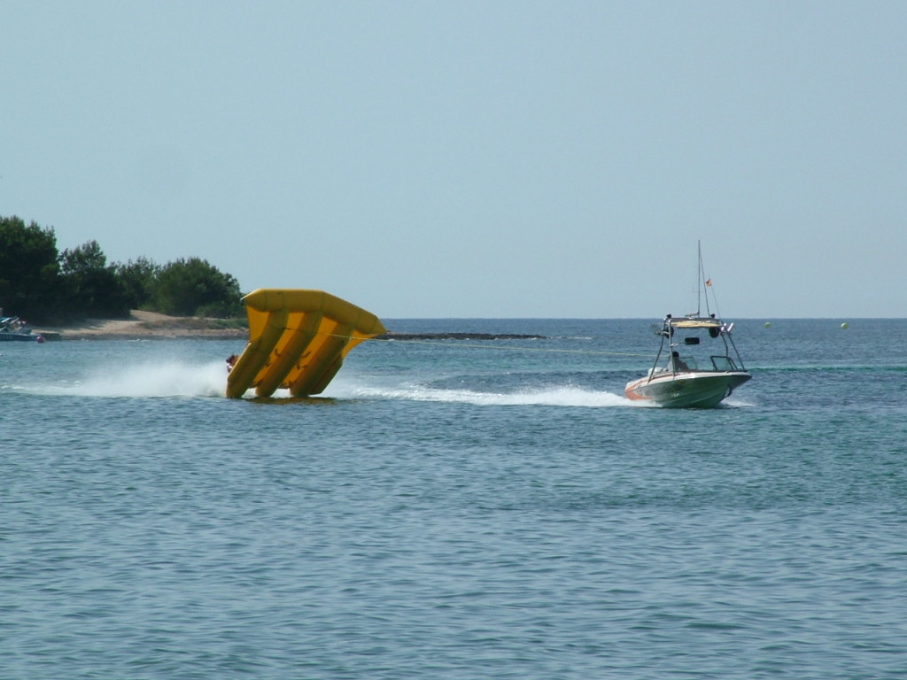 Flying Fish in ibiza