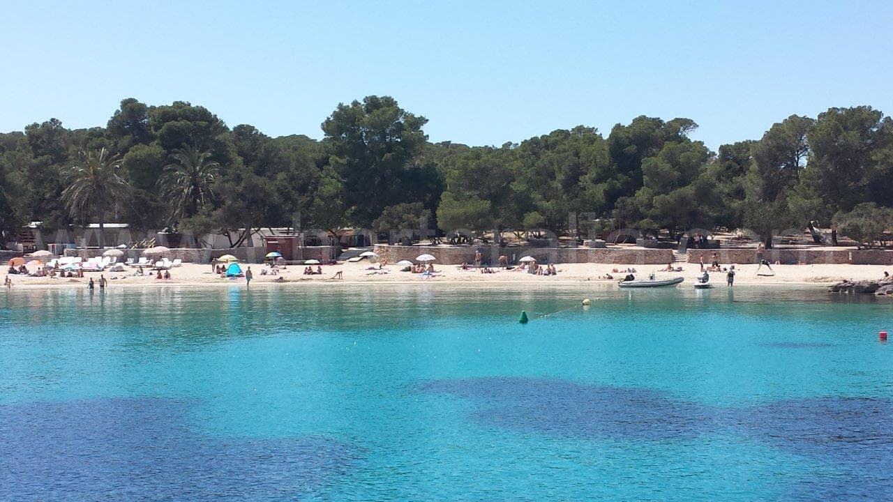 Cala Bassa Ibiza by boat