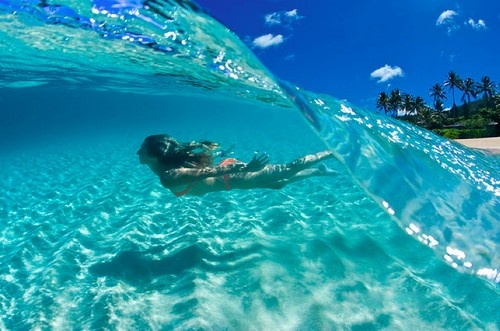 Cristal clear water in the seas of Ibiza due to Neptune grass.