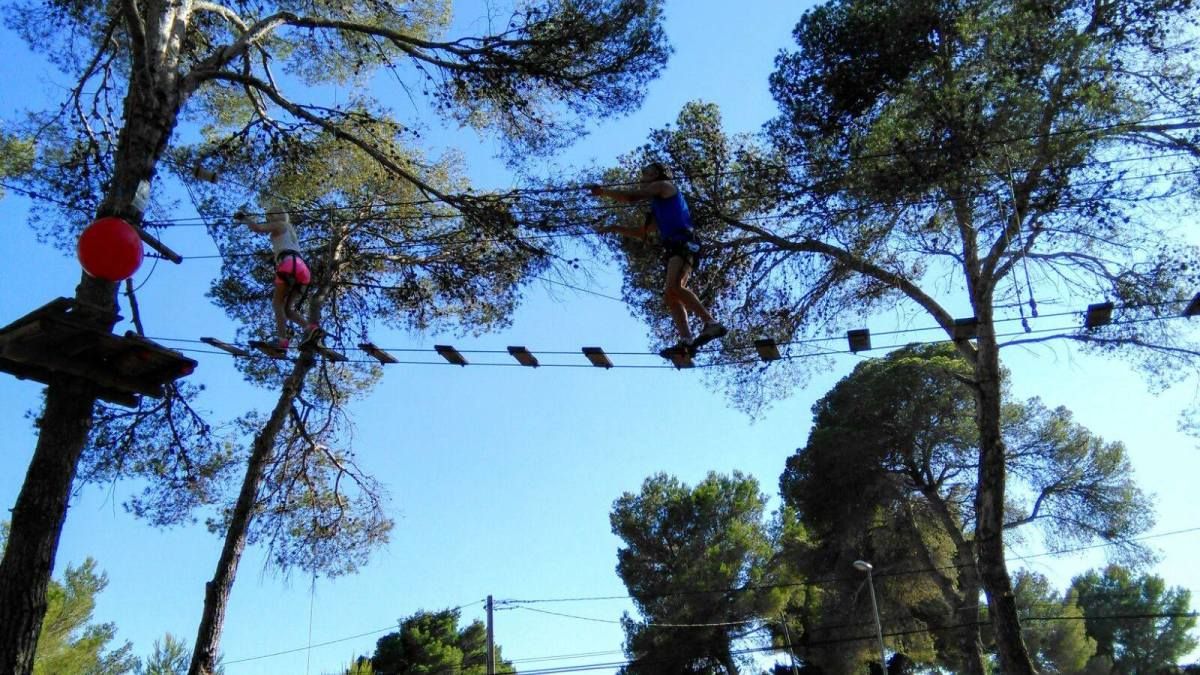 Adventurous treetop hopping in Ibiza