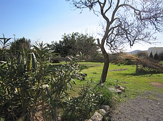 Garden zone in a rental house in Ibiza