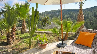 Jardn con palmeras y cactus