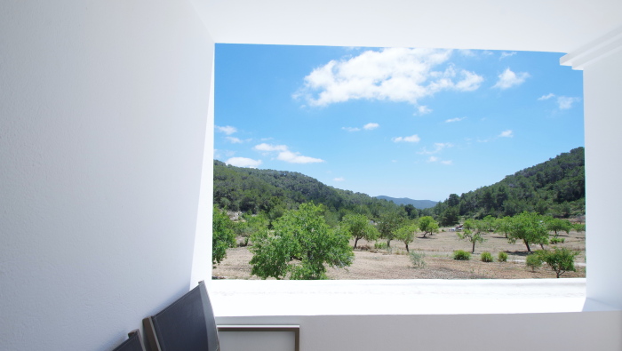 Views of the garden from the house