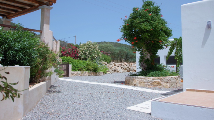 general view of the garden of a rental house in ibiza