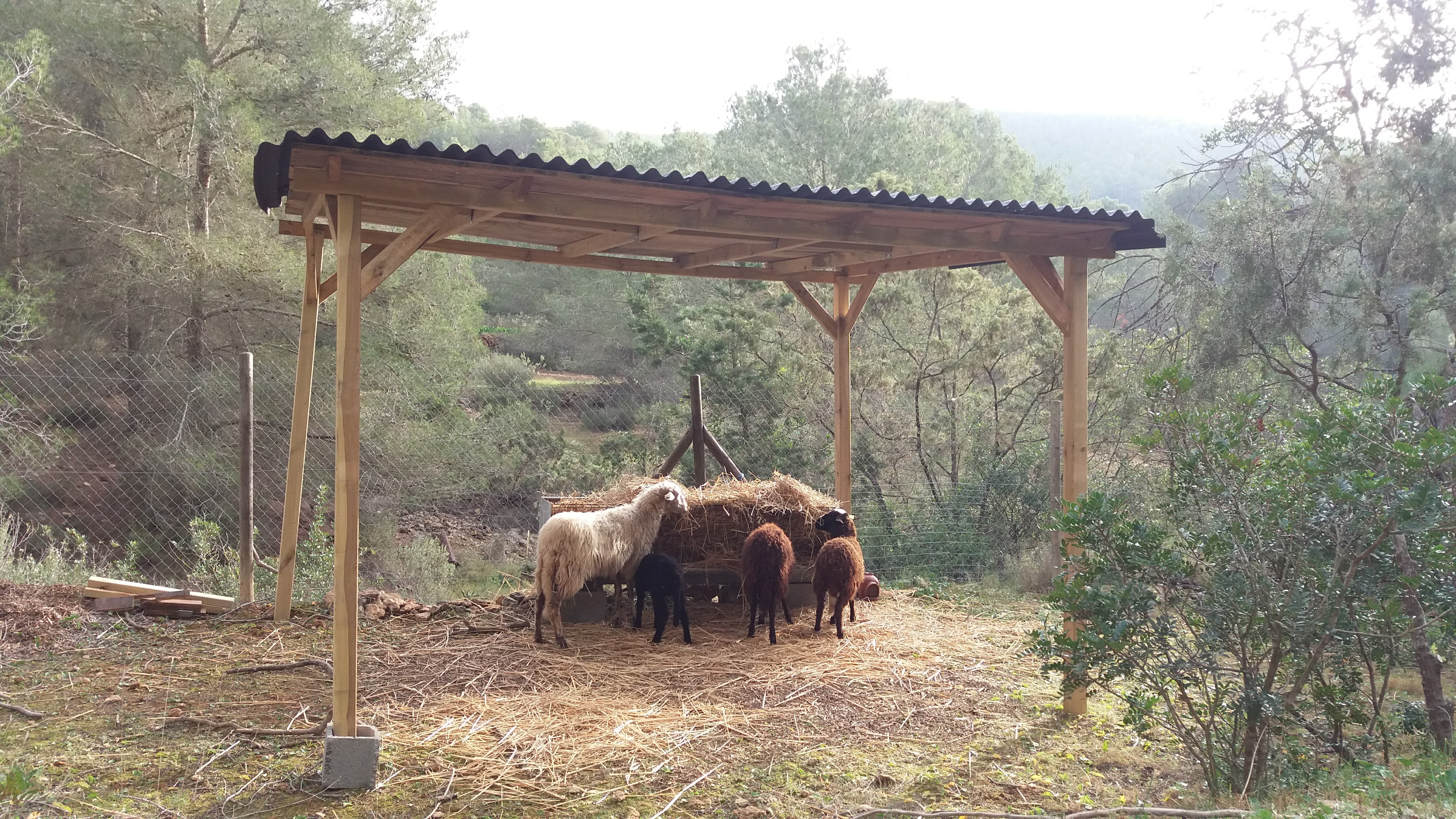 Villa  Primavera Image No. 29