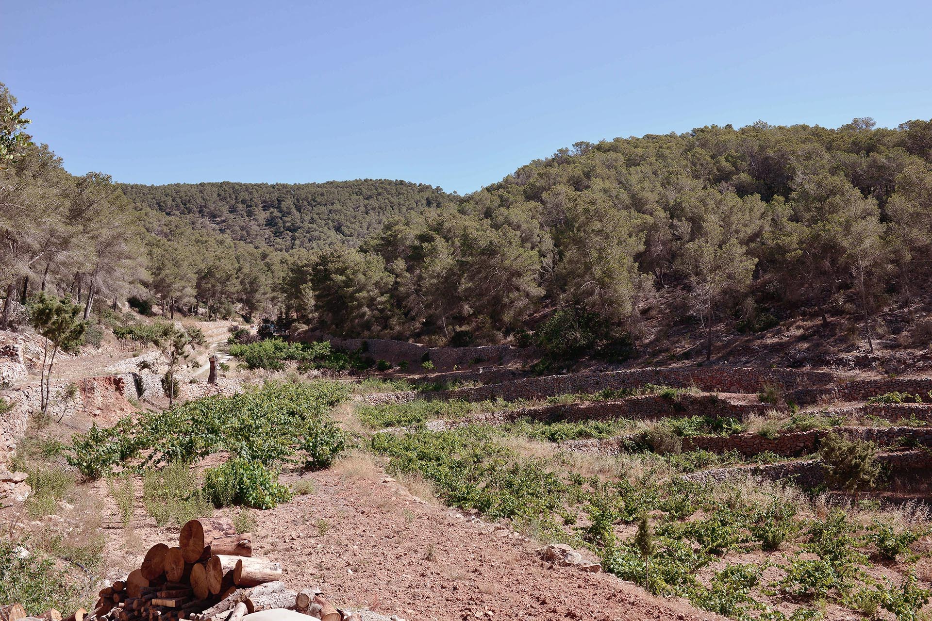 Villa  Primavera Image No. 30