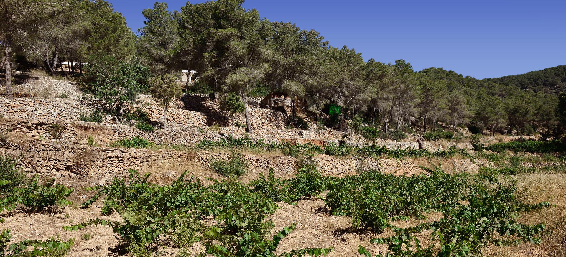 Villa  Primavera Image No. 32