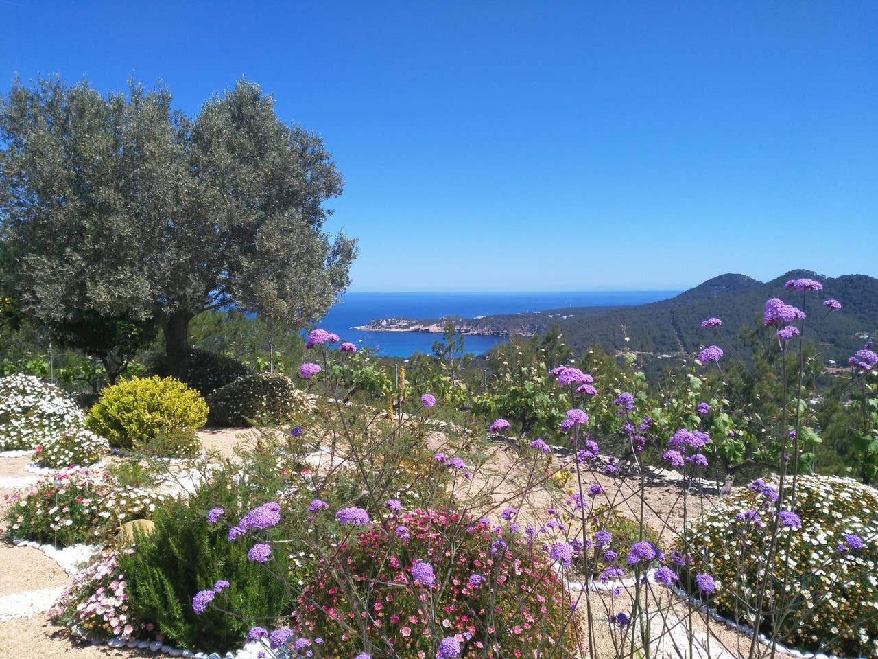 Villa  Xarraca Image No. 4