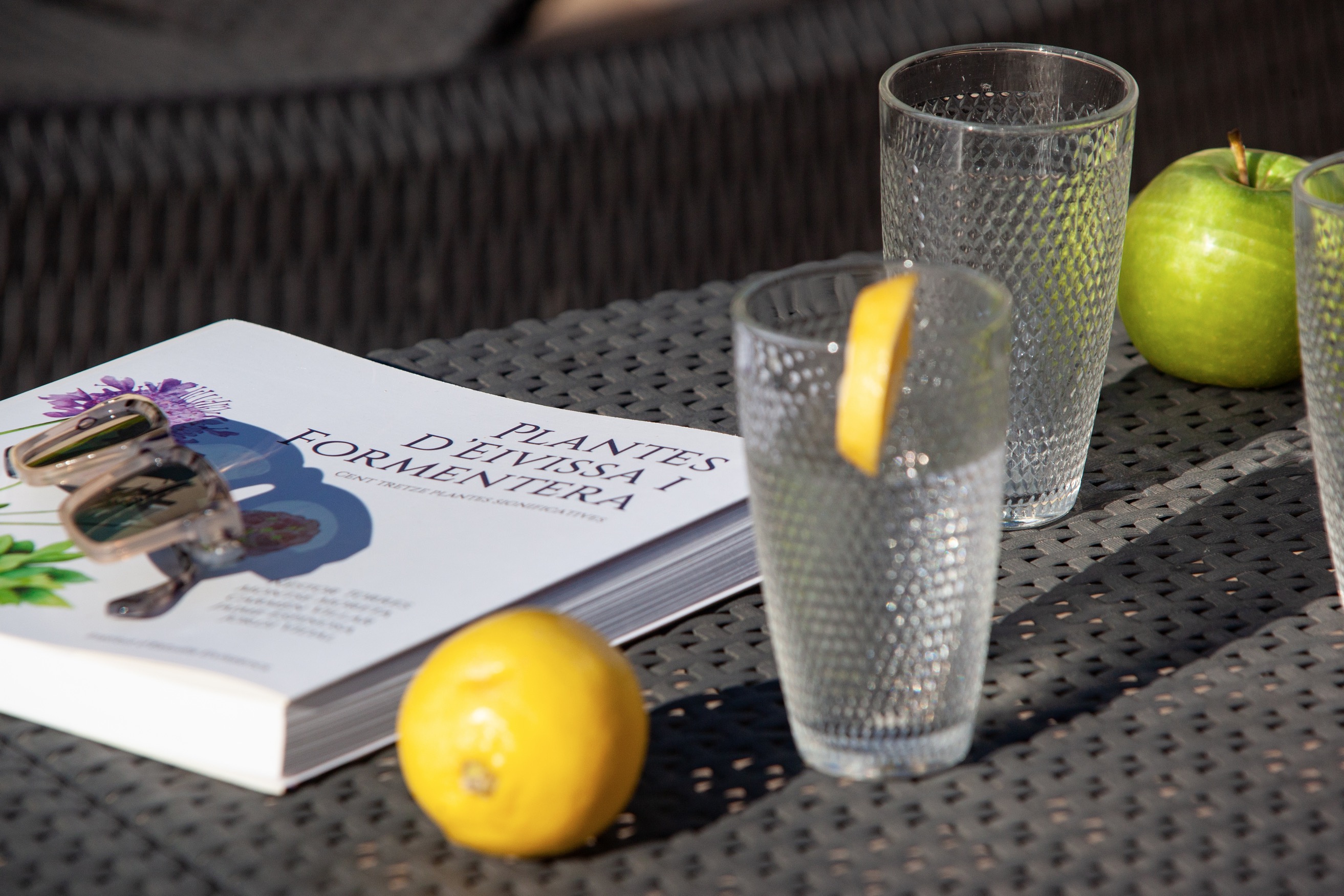 Villa  Can Jordi Image No. 9